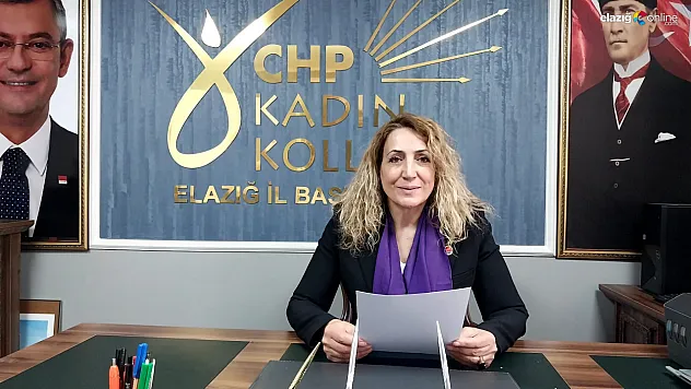 CHP Elazığ Kadın Kolları'ndan Saliha Akkaş Tepkisi: 'Hesap Soracağız!'