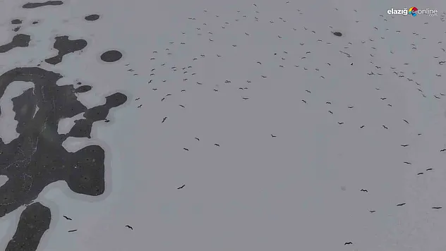 Termometreler çakıldı, Cip Barajı dondu: yürümek değil izlemek bile üşütüyor