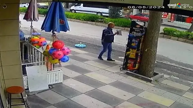 Hırsız karga paçayı zor kurtardı!