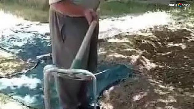 Bahçede gördüğü manzara karşısında şoke oldu!