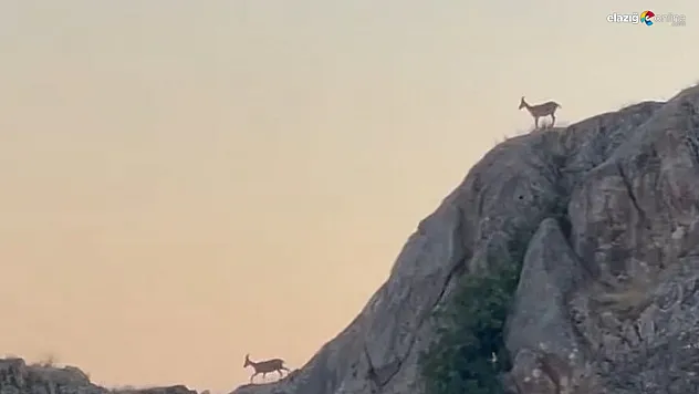 Tarihi Harput'ta güzel anlar!