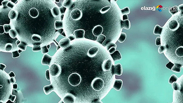 Daha güçlü, daha bulaştırıcı 3 yeni mutasyon tespit edildi