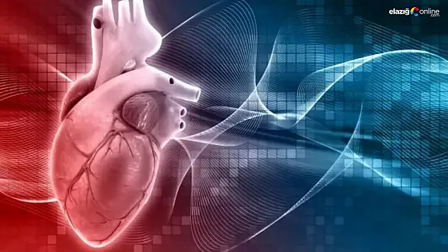 Damar tıkanıklığına karşı doğal çözümler! Beslenme uzmanlarından öneriler