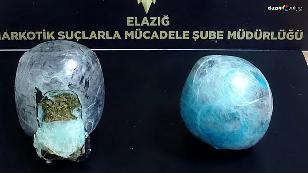 Dedektör köpek 'Nina' yakaladı, mahkeme tutukladı!