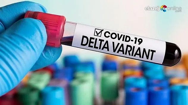 Delta Plus varyantı nedir?