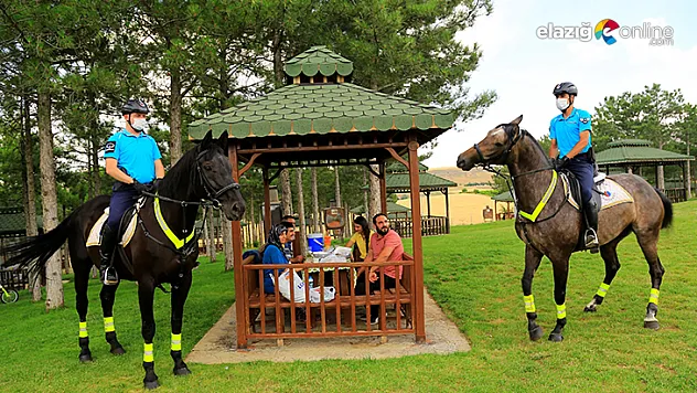Deprem bölgesi Elazığ'da, atlı jandarmalar moral görevine başladı