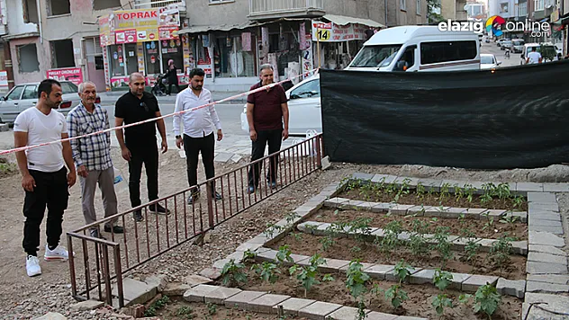 Depremde hasar alıp yıkılan binanın yeri sebze bahçesi oldu