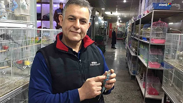 Depremi önceden haber verdiğine inanılan muhabbet kuşlarına yoğun ilgi