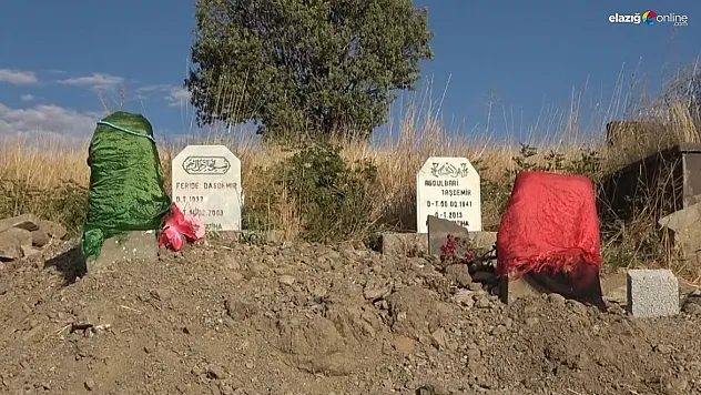 Destansı aşk öyküsü Mem û Zîn, Muş'ta gerçek oldu