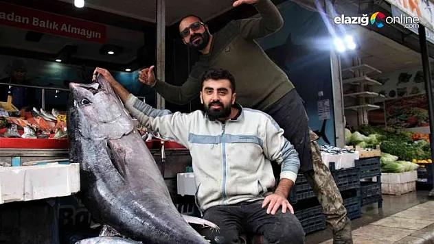 Dev orkinos görenleri hayretler içinde bıraktı