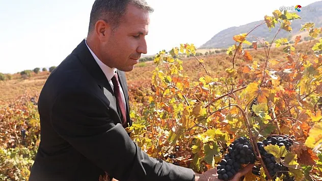Dicle'de yüzde 50 hibeli tarım aletleri destek başvuruları başladı