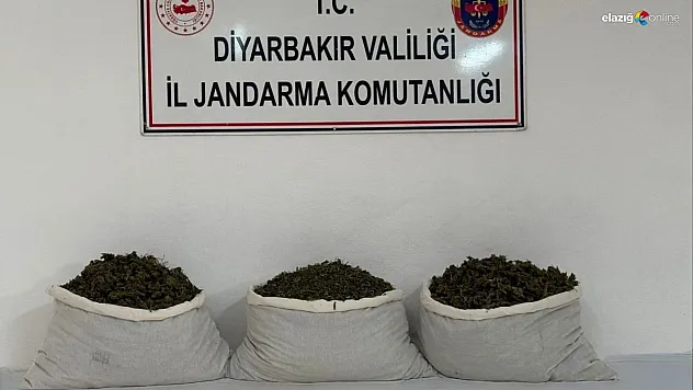Diyarbakır'da 15 kilo skunk ele geçirildi