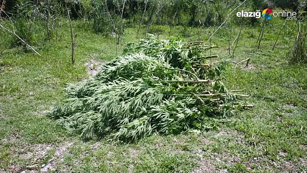 Diyarbakır'da 23 şüpheli gözaltına alındı