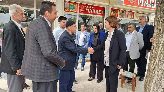 Diyarbakır'da AK Partili vekiller teşekkür turuna çıktı