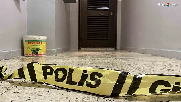 Diyarbakır'da bir şahıs anne ve ağabeyini yataklarında öldürdü