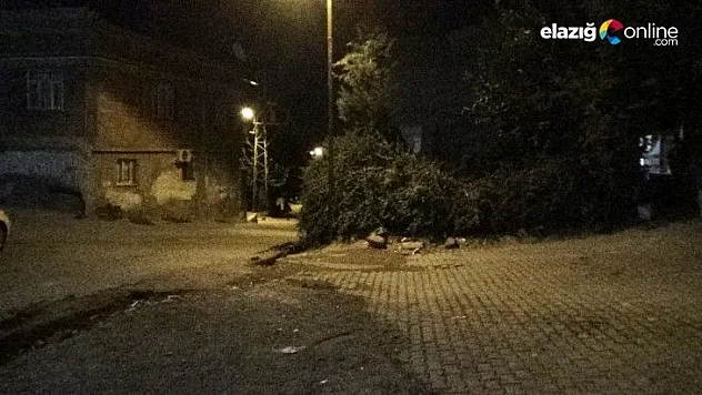 Diyarbakır'da cezaevinden kaçan koca, eşini sokak ortasında katletti