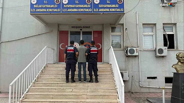 Diyarbakır'da firari 2 hükümlü yakalandı