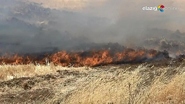 Diyarbakır'da korkutan anız yangını