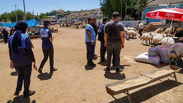 Diyarbakır'da kurban kesim ve satış yerlerine sıkı denetim