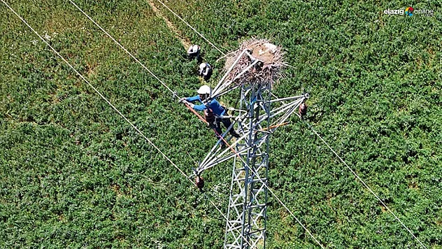 Fırat EDAŞ'tan Doğa Dostu Uygulama: Leylekler ve Enerji Güvencesi Bir Arada!