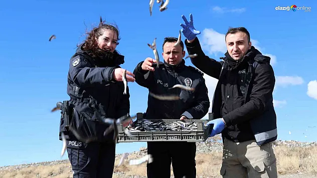 Dev dalgalara aldırmadılar: Sivrice İlçe Emniyetinden 'Tavşan Adası'na vefa seferi