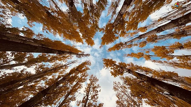 Doğunun gizli denizi Hazar Gölü'nde sonbahar güzelliği