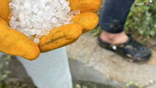 Kayısı üreticileri tedirgin!