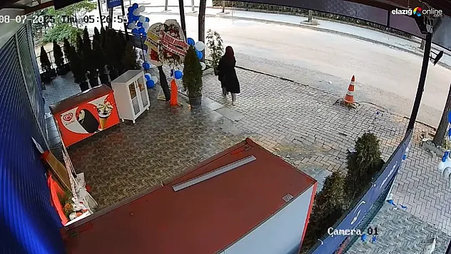 Bir Çiçekle Gelen Şok: Elazığ'da İlginç Hırsızlık Olayı!