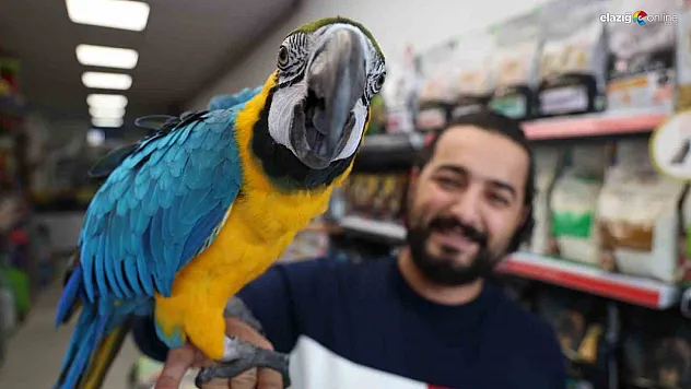 Dayıya Elazığlılardan büyük ilgi!