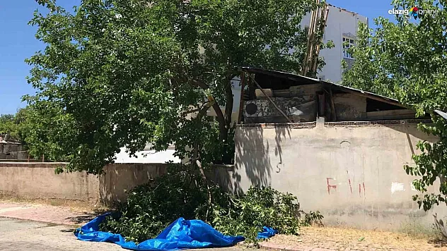 Elazığ'da ağaçtan düşen adam hayatını kaybetti!