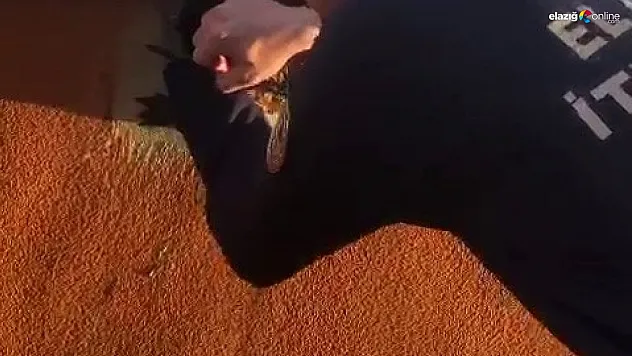 Ebabil kuşunun imdadına itfaiye yetişti!