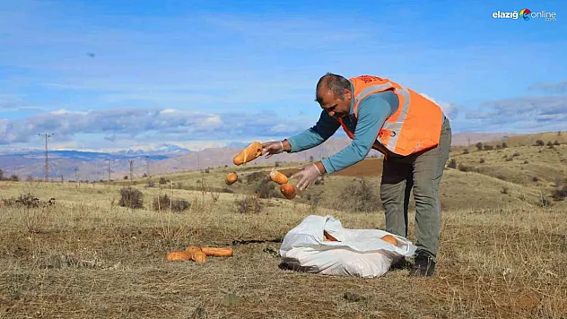 Elazığ Belediyesi kış şartlarında can dostları unutmadı