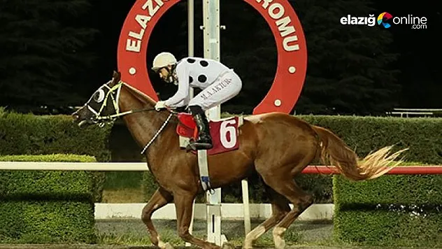 2022'de Yurtbaşı Hipodromu'nda 50 yarış yapılacak