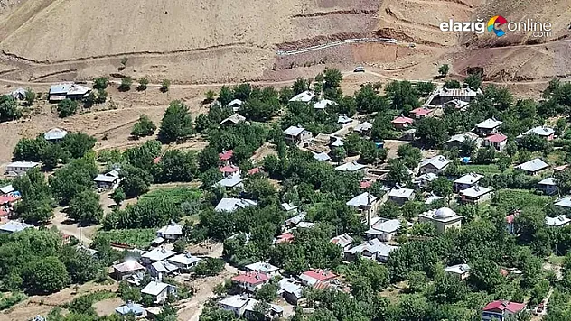 Elazığ'a bağlı bir köy korona virüs nedeniyle karantinaya alındı