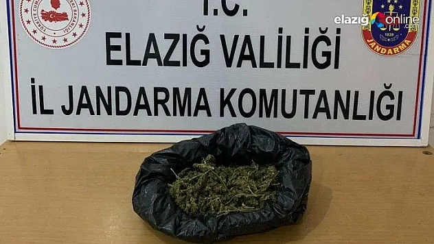 Elazığ'a uyuşturucu getiren şahıs yakalandı