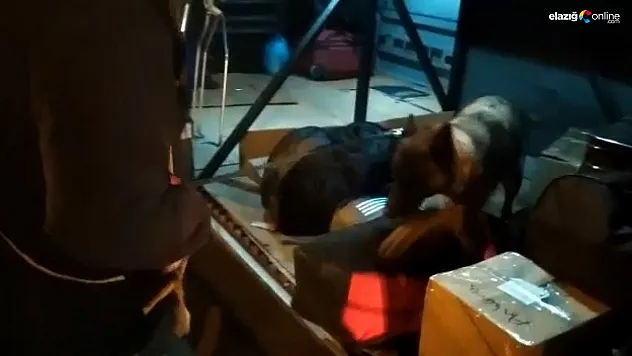 Uyuşturucu tacirleri 'Nina'yı hesap edemedi! Şimdi gözaltındalar