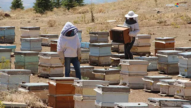 Beklenen yağmurların gelmesi arıcıları sevindirdi