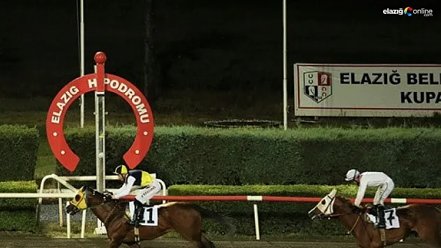 Elazığ Belediye Başkanlığı Koşusu'nun galibi Yıldızhan