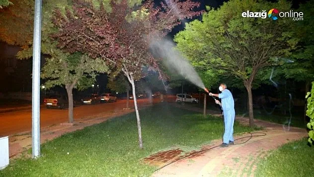 Elazığ Belediyesi Elazığ genelinde ilaçlama çalışmalarını sürdürüyor