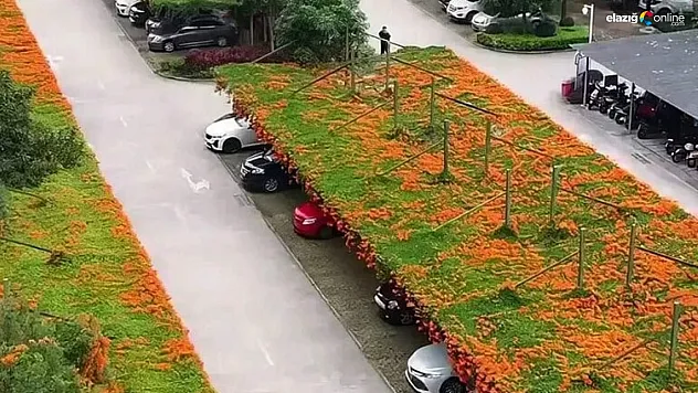 Elazığ Belediyesi'ne öneri proje! Otopark çatılarında yüzen bahçeler