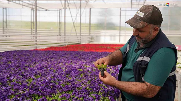 Kent estetiğine değer katan belediye!