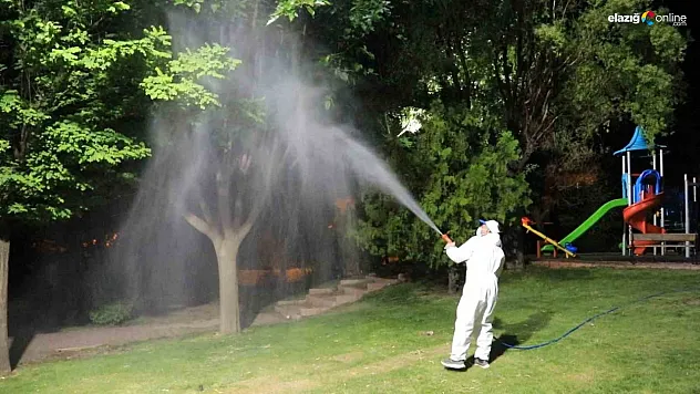 Elazığ'da Durgun Sular, Sinekler ve Çöpler Hedefte! Belediye Sahada!