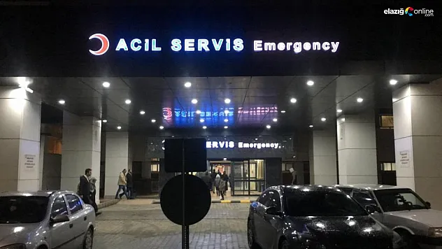 Elazığ-Bingöl karayolunda feci kaza! 1 ölü