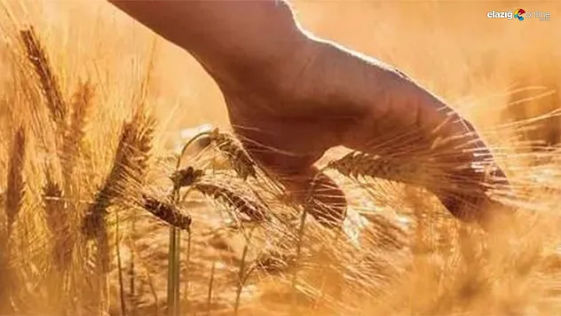 Elazığ Çiftçilerine Son Uyarı: ÇKS Başvurusu İçin Son Gün 31 Aralık!