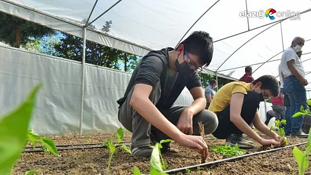 Elazığ'da ağacımla büyüyorum, kendi seramda üretiyorum projesi