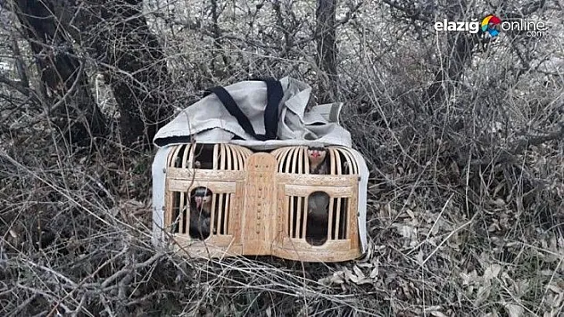 Elazığ'da avlaklarda denetim, keklikler ele geçirildi bir meteris yıkıldı
