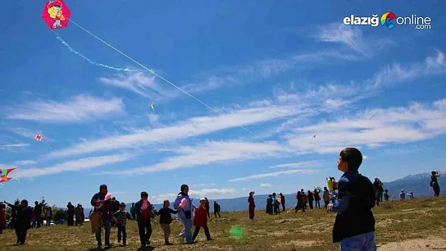 Engelsiz Uçurtma Şenliği'nden renkli görüntüler