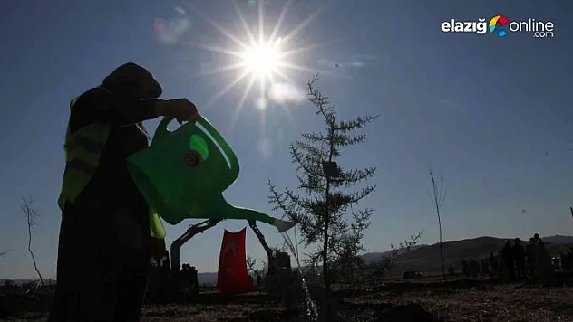 Elazığ'da bugün 23 bin fidan toprakla buluştu