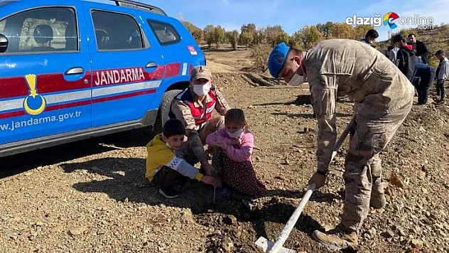 Elazığ'da jandarma ekipleri bir günde 8 bin 300 fidan dikti