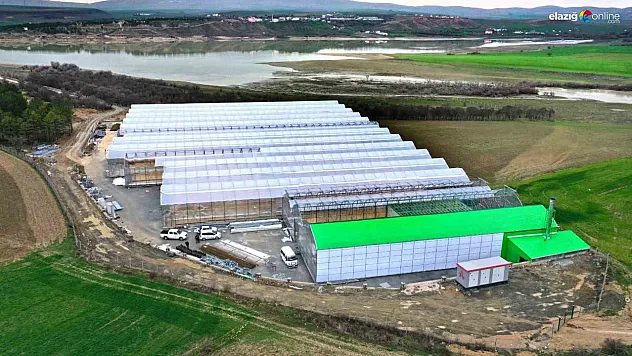 Elazığ'da jeotermal sera sahasının ilk etap çalışmaları tamamlandı
